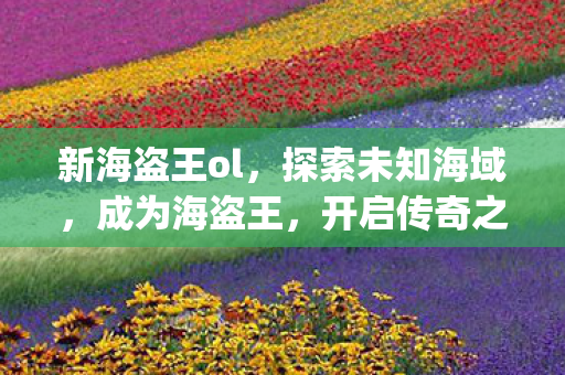 新海盗王ol，探索未知海域，成为海盗王，开启传奇之旅！{成为海盗王}