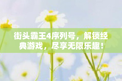 街头霸王4序列号,解锁经典游戏,尽享无限乐趣! 街头霸王4序列号,解锁经典游戏,尽享无限乐趣!