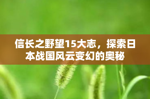 信长之野望15大志，探索日本战国风云变幻的奥秘