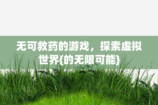 无可救药的游戏，探索虚拟世界{的无限可能}