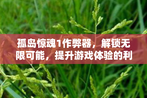 孤岛惊魂1作弊器,解锁无限可能,提升游戏体验的利器,助你称霸游戏世界! 孤岛惊魂1作弊器,解锁无限可能,提升游戏体验的利器,助你称霸游戏世界!