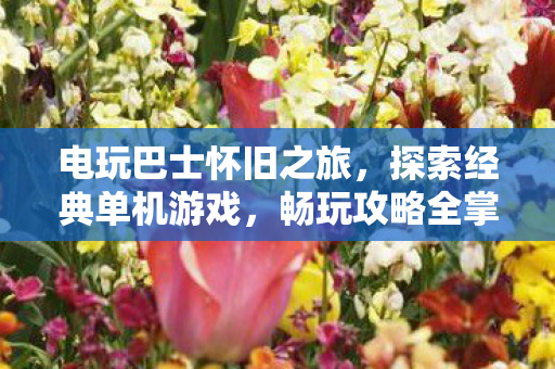 电玩巴士怀旧之旅，探索经典单机游戏，畅玩攻略全掌握