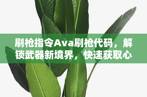 刷枪指令Ava刷枪代码，解锁武器新境界，快速获取心仪装备！