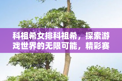 科祖希女排科祖希,探索游戏世界的无限可能,精彩赛事回顾 科祖希女排科祖希,探索游戏世界的无限可能,精彩赛事回顾