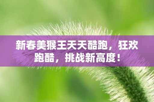 新春美猴王天天酷跑，狂欢跑酷，挑战新高度！