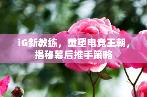 iG新教练,重塑电竞王朝,揭秘幕后推手策略 iG新教练,重塑电竞王朝,揭秘幕后推手策略