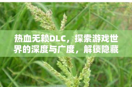热血无赖DLC,探索游戏世界的深度与广度,解锁隐藏剧情! 热血无赖DLC,探索游戏世界的深度与广度,解锁隐藏剧情!