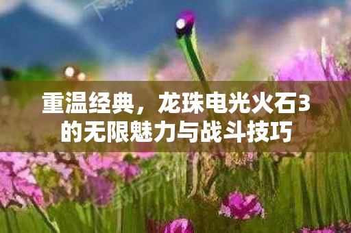 龙珠电光火石3的无限魅力与战斗技巧图片