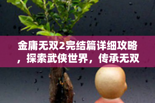 金庸无双2完结篇详细攻略，探索武侠世界，传承无双精神！