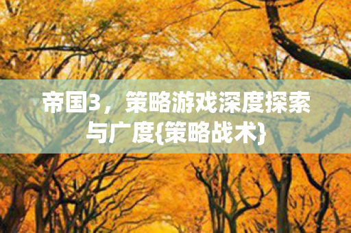 帝国3，策略游戏深度探索与广度{策略战术}