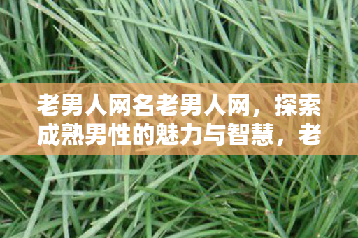 老男人网名老男人网，探索成熟男性的魅力与智慧，老男人网，探索成熟男性的魅力与智慧