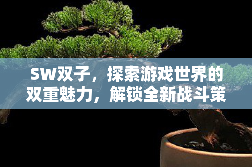 SW双子,探索游戏世界的双重魅力,解锁全新战斗策略 SW双子,探索游戏世界的双重魅力,解锁全新战斗策略