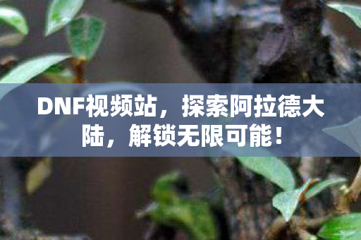 DNF视频站，探索阿拉德大陆，解锁无限可能！