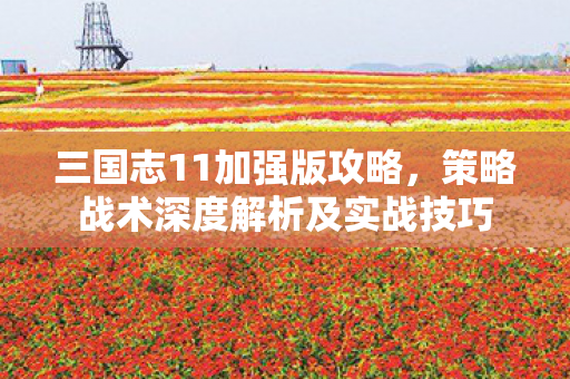 三国志11加强版攻略,策略战术深度解析及实战技巧 三国志11加强版攻略,策略战术深度解析及实战技巧