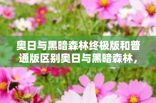 奥日与黑暗森林终极版和普通版区别奥日与黑暗森林,探索未知世界的奇幻之旅,奥日与黑暗森林,终极版与普通版,探索世界的奇幻之旅 奥日与黑暗森林终极版和普通版区别奥日与黑暗森林,探索未知世界的奇幻之旅,奥日与黑暗森林,终极版与普通版,探索世界的奇幻之旅