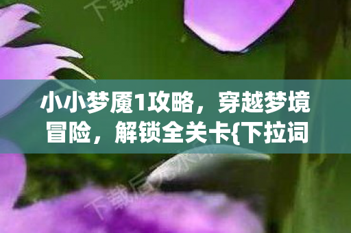 小小梦魇1攻略，穿越梦境冒险，解锁全关卡{下拉词}技巧