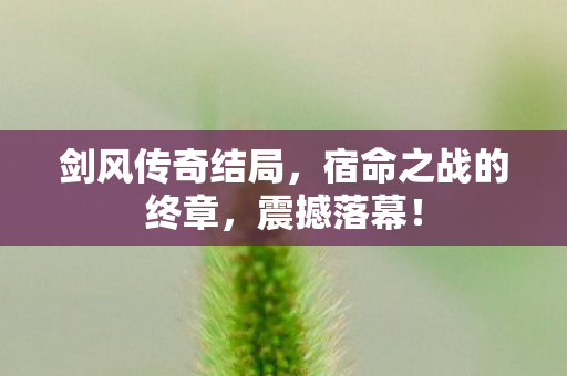 剑风传奇结局，宿命之战的终章，震撼落幕！