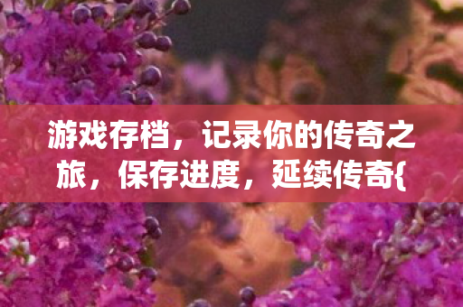 游戏存档,记录你的传奇之旅,保存进度,延续传奇{游戏存档管理} 游戏存档,记录你的传奇之旅,保存进度,延续传奇{游戏存档管理}