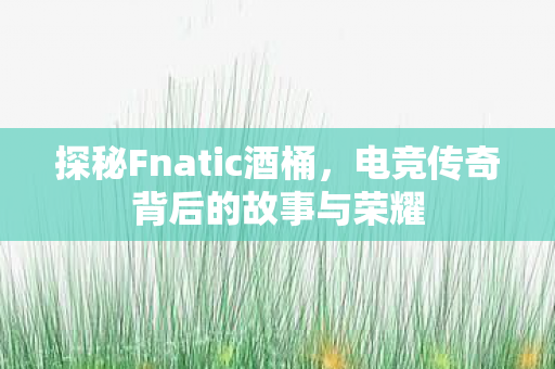 探秘Fnatic酒桶,电竞传奇背后的故事与荣耀 探秘Fnatic酒桶,电竞传奇背后的故事与荣耀