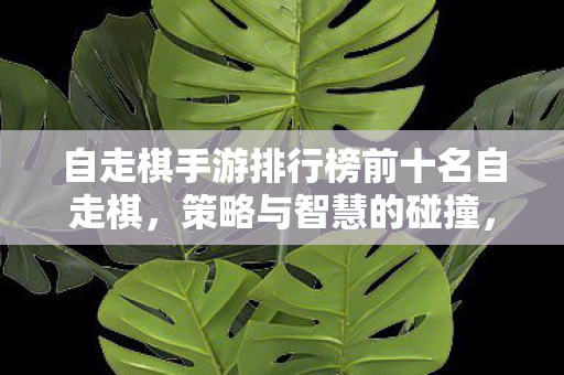 自走棋手游排行榜前十名自走棋，策略与智慧的碰撞，策略与智慧交锋，自走棋手游排行榜前十名