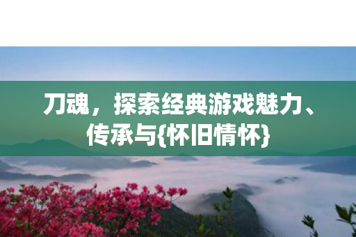 刀魂，探索经典游戏魅力、传承与{怀旧情怀}