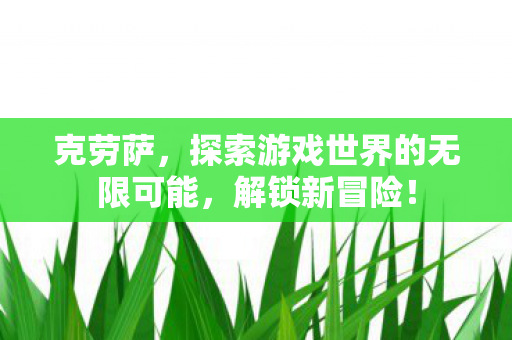 克劳萨，探索游戏世界的无限可能，解锁新冒险！