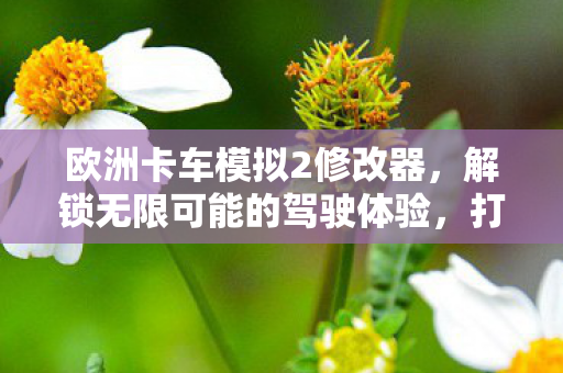 解锁无限可能的驾驶体验图片