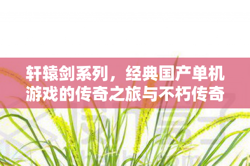经典国产单机游戏的传奇之旅与不朽传奇图片