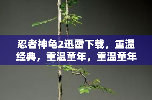 忍者神龟2迅雷下载,重温经典,重温童年,重温童年回忆! 忍者神龟2迅雷下载,重温经典,重温童年,重温童年回忆!