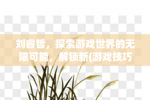 刘睿哲,探索游戏世界的无限可能,解锁新{游戏技巧} 刘睿哲,探索游戏世界的无限可能,解锁新{游戏技巧}
