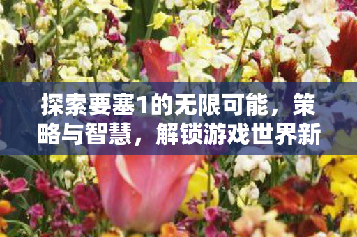 探索要塞1的无限可能,策略与智慧,解锁游戏世界新篇章 探索要塞1的无限可能,策略与智慧,解锁游戏世界新篇章