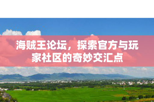 海贼王论坛，探索官方与玩家社区的奇妙交汇点