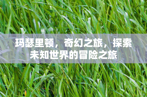 玛瑟里顿,奇幻之旅,探索未知世界的冒险之旅 玛瑟里顿,奇幻之旅,探索未知世界的冒险之旅