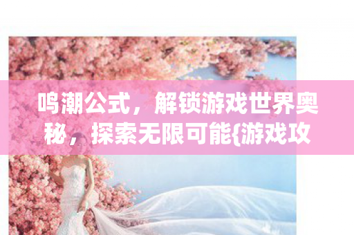 鸣潮公式，解锁游戏世界奥秘，探索无限可能{游戏攻略}