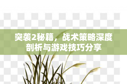 突袭2秘籍,战术策略深度剖析与游戏技巧分享 突袭2秘籍,战术策略深度剖析与游戏技巧分享