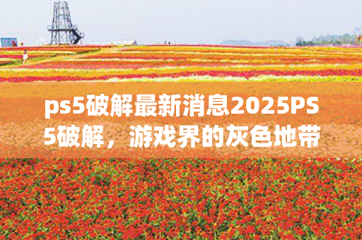 ps5破解最新消息2025PS5破解,游戏界的灰色地带与玩家权益的博弈,PS5破解,游戏界灰色地带的博弈与玩家权益的考量 ps5破解最新消息2025PS5破解,游戏界的灰色地带与玩家权益的博弈,PS5破解,游戏界灰色地带的博弈与玩家权益的考量