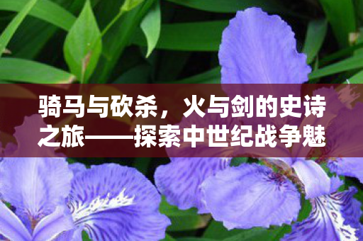 探索中世纪战争魅力图片