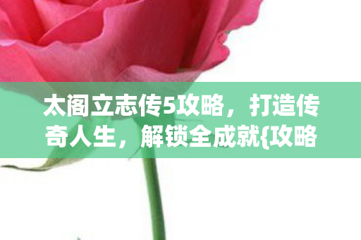 太阁立志传5攻略,打造传奇人生,解锁全成就{攻略} 太阁立志传5攻略,打造传奇人生,解锁全成就{攻略}