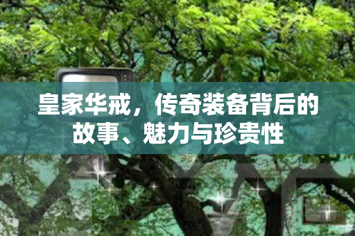 皇家华戒，传奇装备背后的故事、魅力与珍贵性