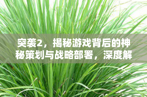 突袭2，揭秘游戏背后的神秘策划与战略部署，深度解析