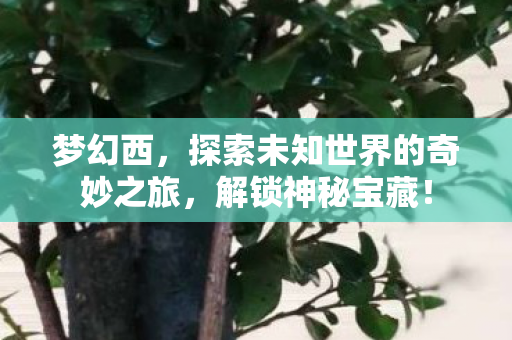 梦幻西,探索未知世界的奇妙之旅,解锁神秘宝藏! 梦幻西,探索未知世界的奇妙之旅,解锁神秘宝藏!
