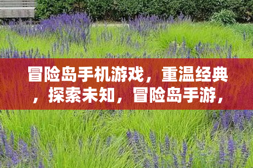 冒险岛手机游戏图片