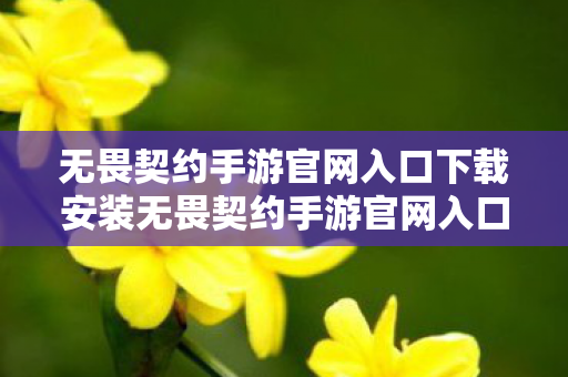 无畏契约手游官网入口下载安装无畏契约手游官网入口，探索正版游戏的奇妙世界，手游官网无畏契约官网入口，探索正版游戏的奇妙世界