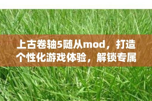 上古卷轴5随从mod，打造个性化游戏体验，解锁专属{随从}！