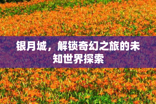 银月城，解锁奇幻之旅的未知世界探索