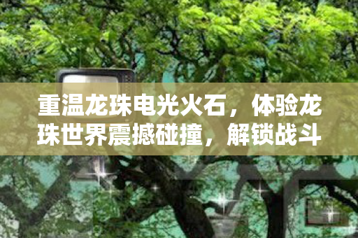 重温龙珠电光火石,体验龙珠世界震撼碰撞,解锁战斗新技能 重温龙珠电光火石,体验龙珠世界震撼碰撞,解锁战斗新技能