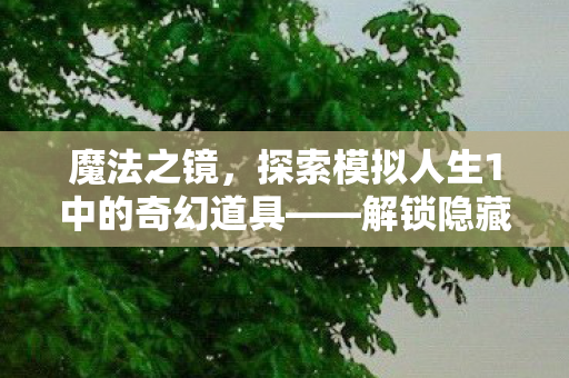 魔法之镜，探索模拟人生1中的奇幻道具——解锁隐藏技能