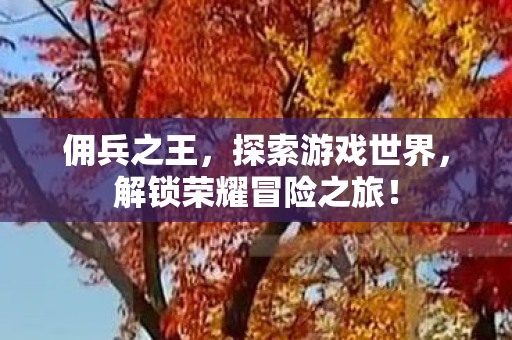 佣兵之王,探索游戏世界,解锁荣耀冒险之旅! 佣兵之王,探索游戏世界,解锁荣耀冒险之旅!