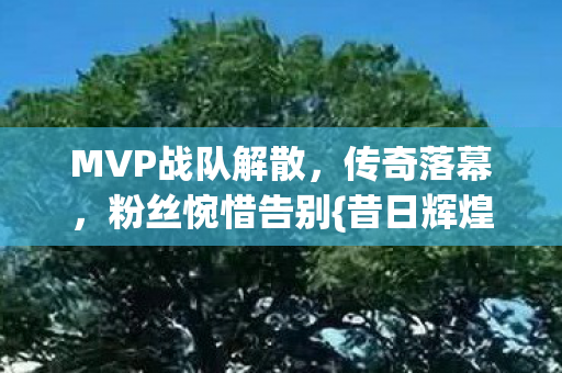 MVP战队解散图片