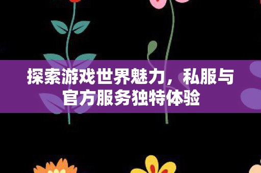 私服与官方服务独特体验图片
